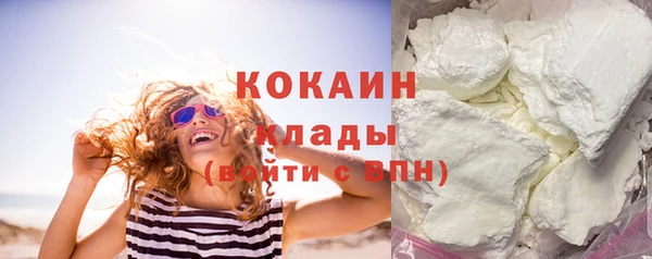 мет Новозыбков