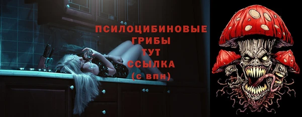 прущие крисы Няндома