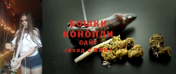 мет Новозыбков