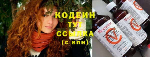 мет Новозыбков